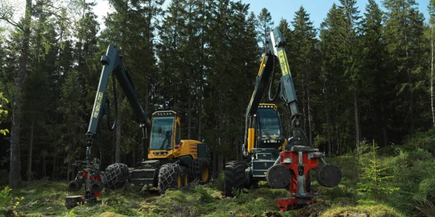 Two pieces of heavy machinery clear land in a forest.
